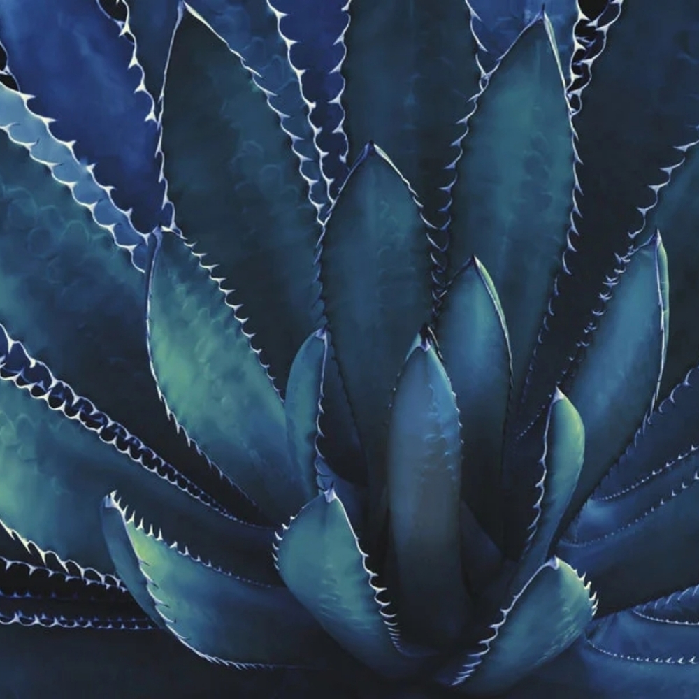 Meet your Posher, Sher